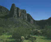 Desierto de Sonora (Arizona)